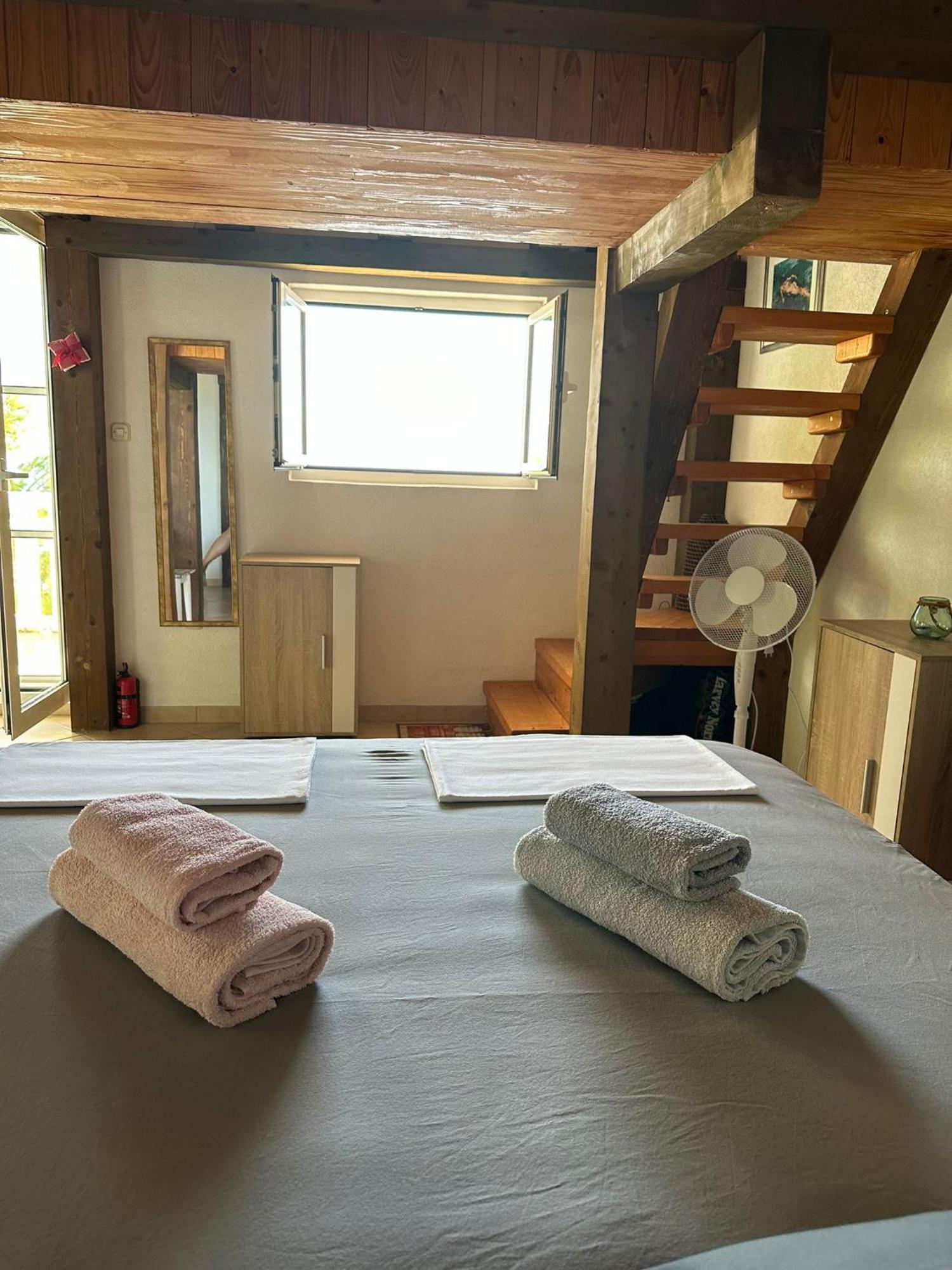 Villa Victor Babino Polje エクステリア 写真