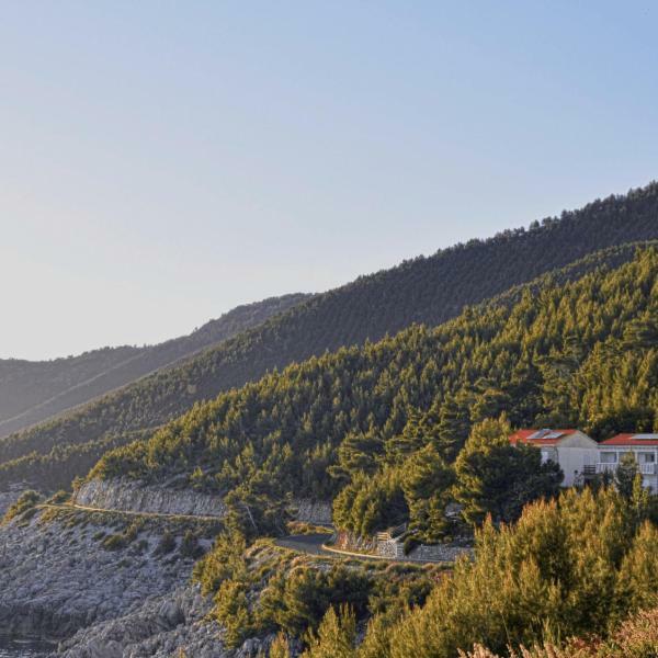Villa Victor Babino Polje エクステリア 写真