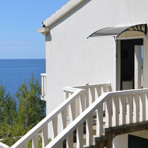 Villa Victor Babino Polje エクステリア 写真