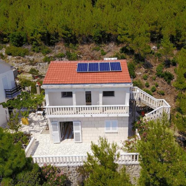 Villa Victor Babino Polje エクステリア 写真